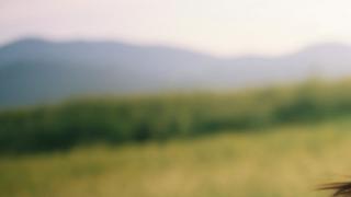 สุขสันต์วันแม่แห่งชาติ